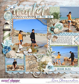 SSD-eve-dsisolitarybeach-29Jan21.jpg