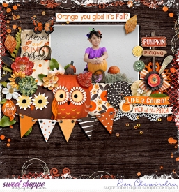 SSD-eve-liellapumpkinpatch-15Nov24.jpg