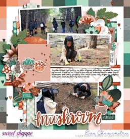SSD-eve-livmushbears-7Sep24.jpg