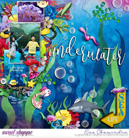 SSD-eve-mcreationswendypadsharktail-3Jul21.jpg