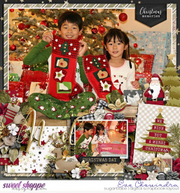 SSD-eve-ponytailswoodlandchristmas-25Nov21.jpg