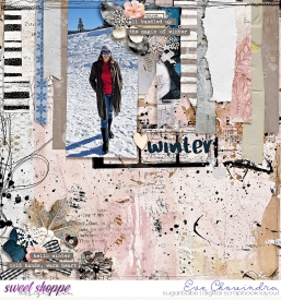 SSD-eve-sbmustlovehavewinter-25Jan25.jpg