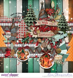 SSD-eve-tnpbushchristmas-28Nov24.jpg