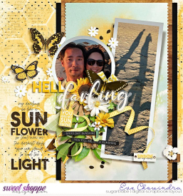 SSD-eve-tnppanoramakcbsunflower-16Apr22-.jpg