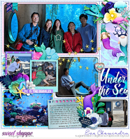 SSD-eve-wendypmermaidgnome-6May23.jpg