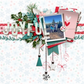 SSD-everydayisjoyful-dec2023collab-tnp-everdayisjoyful-tp-LEA.jpg