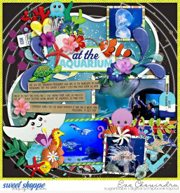 SSD-mcaquarium-25jul20.jpg