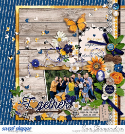 SSD-mcfamily-15Aug20.jpg