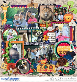 SSD-mczoo-2May20.jpg