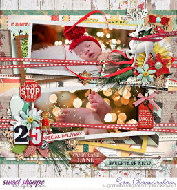 SSD-tnpspdspecialdelivery-27Nov20.jpg