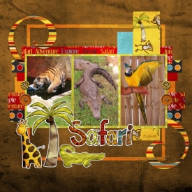 SSDCookie-37_Safari_web.jpg