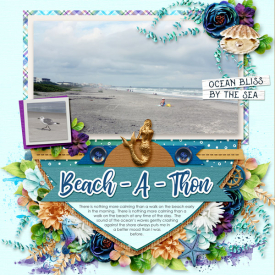 SSD_Beach-A-Thon.jpg