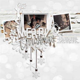SSD_Dec2024_4b_Winter-Whites.jpg