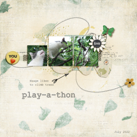 SSD_Play-a-thion_Day-2-July.jpg