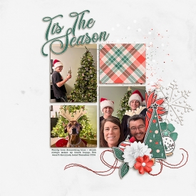 SSD_RiverRoseCozyChristmas_ADSnapshotsNo2_Tree2024_WEB.jpg