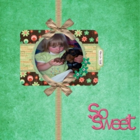 SWTSB_36_400_x_400_.jpg