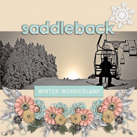 Saddleback.jpg