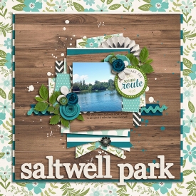 SaltwellParkSSDSB700.jpg