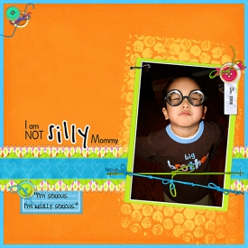 Sam-NOT-Silly-1208-web.jpg