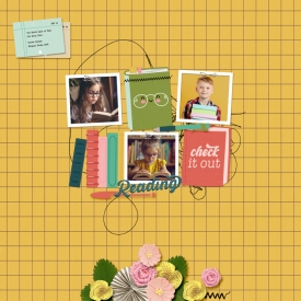SchoolLibrary-Josie.jpg