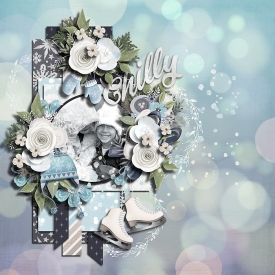Scrap_your_stories_Winter_-Ella.jpg