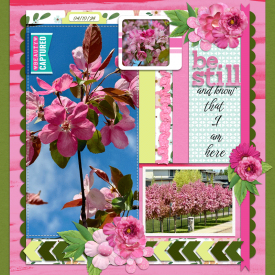 Scripture-W.png