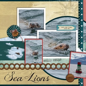 Sea-Lions-b.jpg