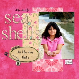 SeaShellsWEBsmall.jpg