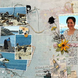 Seaside-Web2.jpg