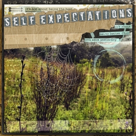 SelfExpectation.jpg