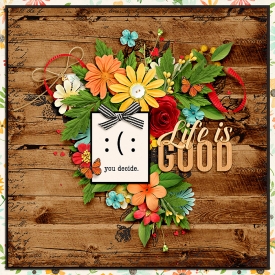 Sentiment-copy.jpg