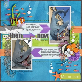 Shark_Store_TN_Then_and_Now_2016_smaller.jpg