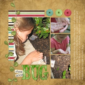 Shelbys-Bugs.jpg