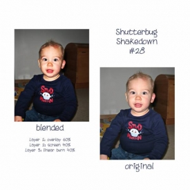 Shutterbug282.jpg