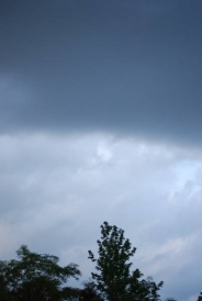 Shutterbug_Shakedown_15_Beauty_in_EverydayWEB.jpg
