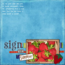 Sign-of-Summer.jpg