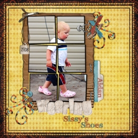 Sissysshoes.jpg