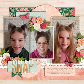 Snap7.jpg