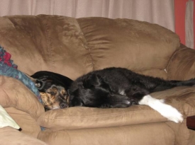 Snooze-Photo-1.jpg