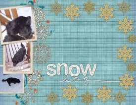 Snow-Dog-cal.jpg