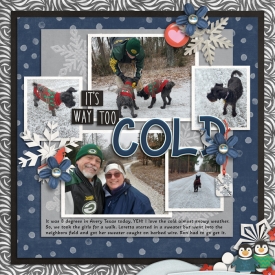 Snow-Whoe-Woe-1a-2024.jpg