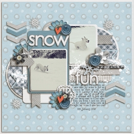 SnowFun-700.jpg