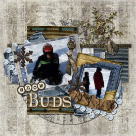 Snow_Buds_show.jpg