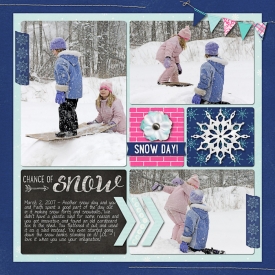 Snow_Day2.jpg