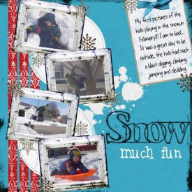 Snow_Much_Fun.JPG