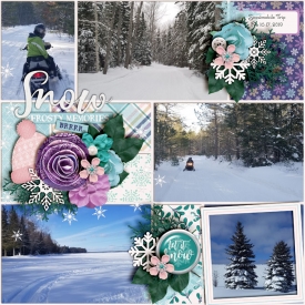 Snowmobile_Trip_Feb_16-17_2019_smaller.jpg