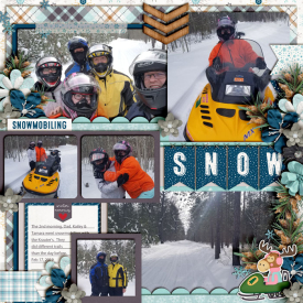 Snowmobiling_2nd_Day_Feb_2019_smaller.jpg