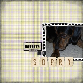 So-Sorry.jpg