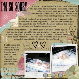 SorryHomebirth.jpg