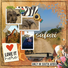 SouthAfricanWeb.jpg
